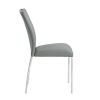 ACME Pagan Side Chair (Set-2) in Gray PU & Chrome Finish DN00741 - as Pic